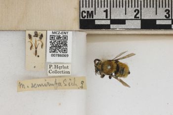 Media type: image;   Entomology 786069 Aspect: Labels